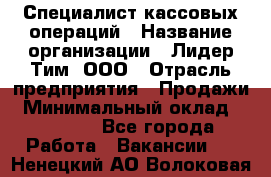 Специалист кассовых операций › Название организации ­ Лидер Тим, ООО › Отрасль предприятия ­ Продажи › Минимальный оклад ­ 16 000 - Все города Работа » Вакансии   . Ненецкий АО,Волоковая д.